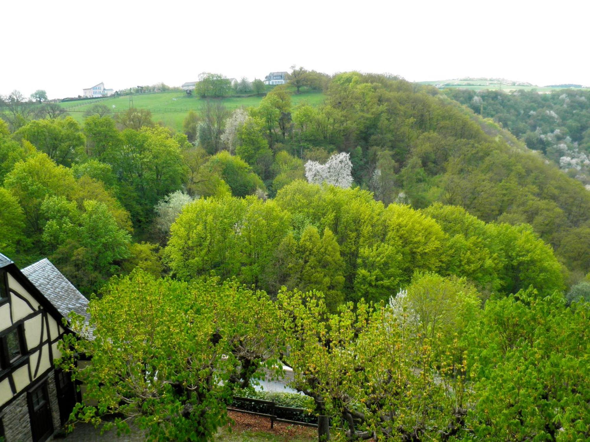 Burghotel Auf Schoenburg Oberwesel Camera foto